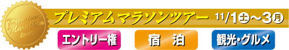 プレミアムマラソンツアー